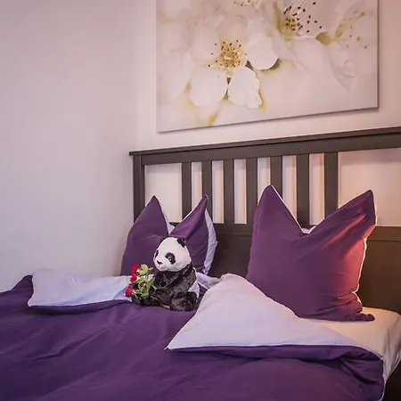 Bed & Breakfast Villa Alma 3*